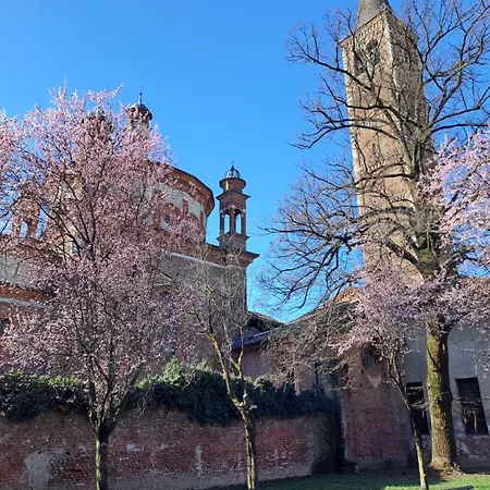 Apartamento Vetra-parco Delle Basiliche 2 Pax- Wifi- Banfi